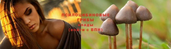 jwh Алексеевка