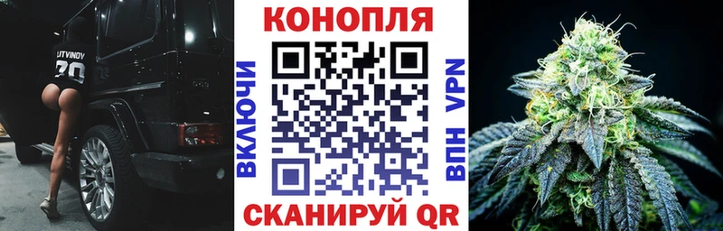 наркошоп  Чёрмоз  Канабис SATIVA & INDICA 